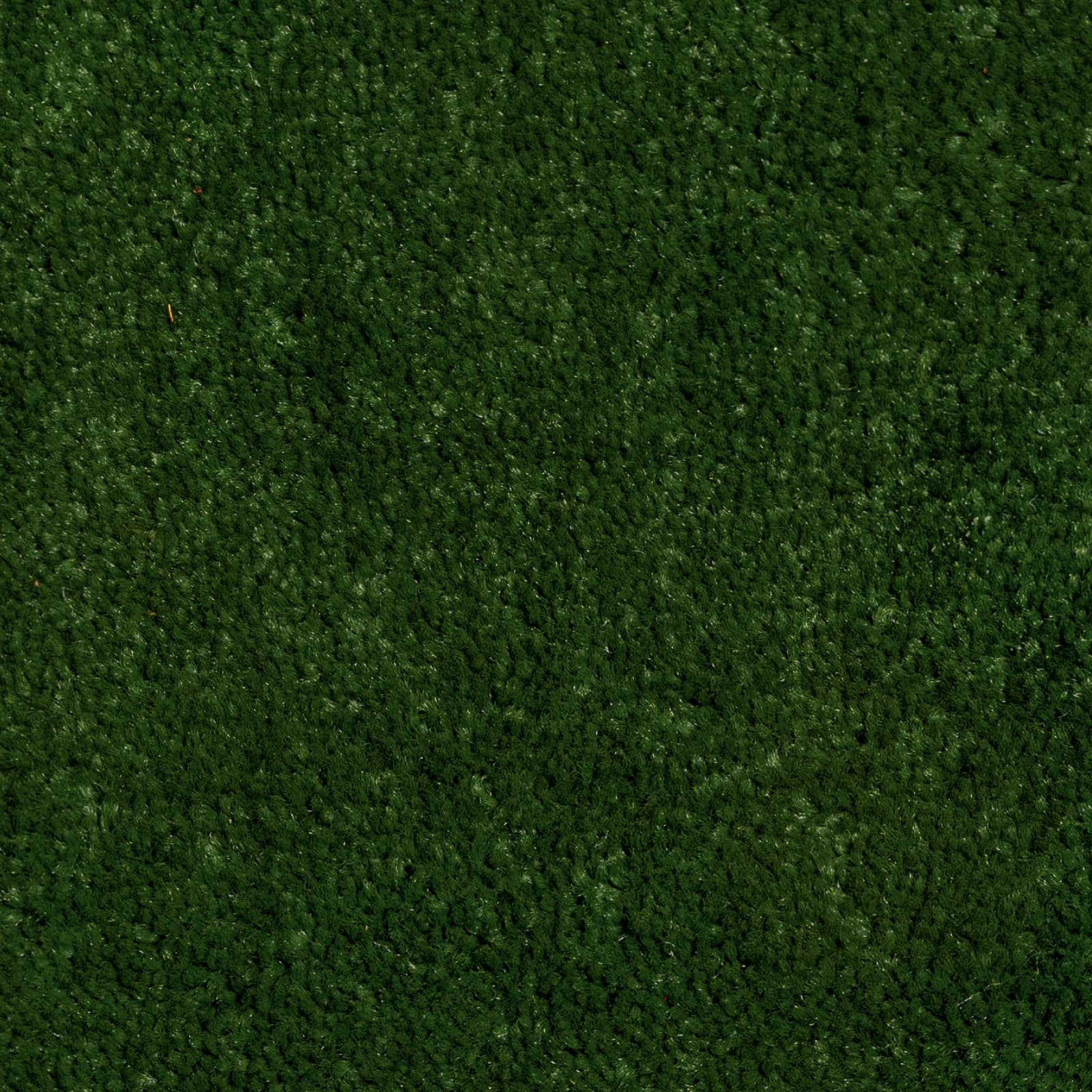 STONE 24  •  Grass green